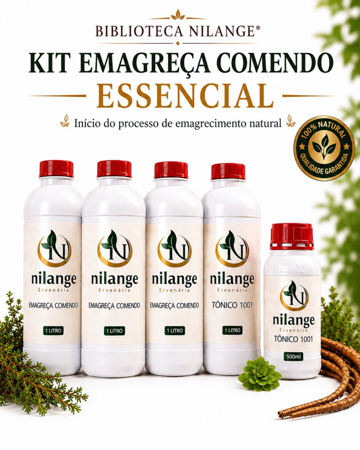 Kit Emagreça Comendo Essencial