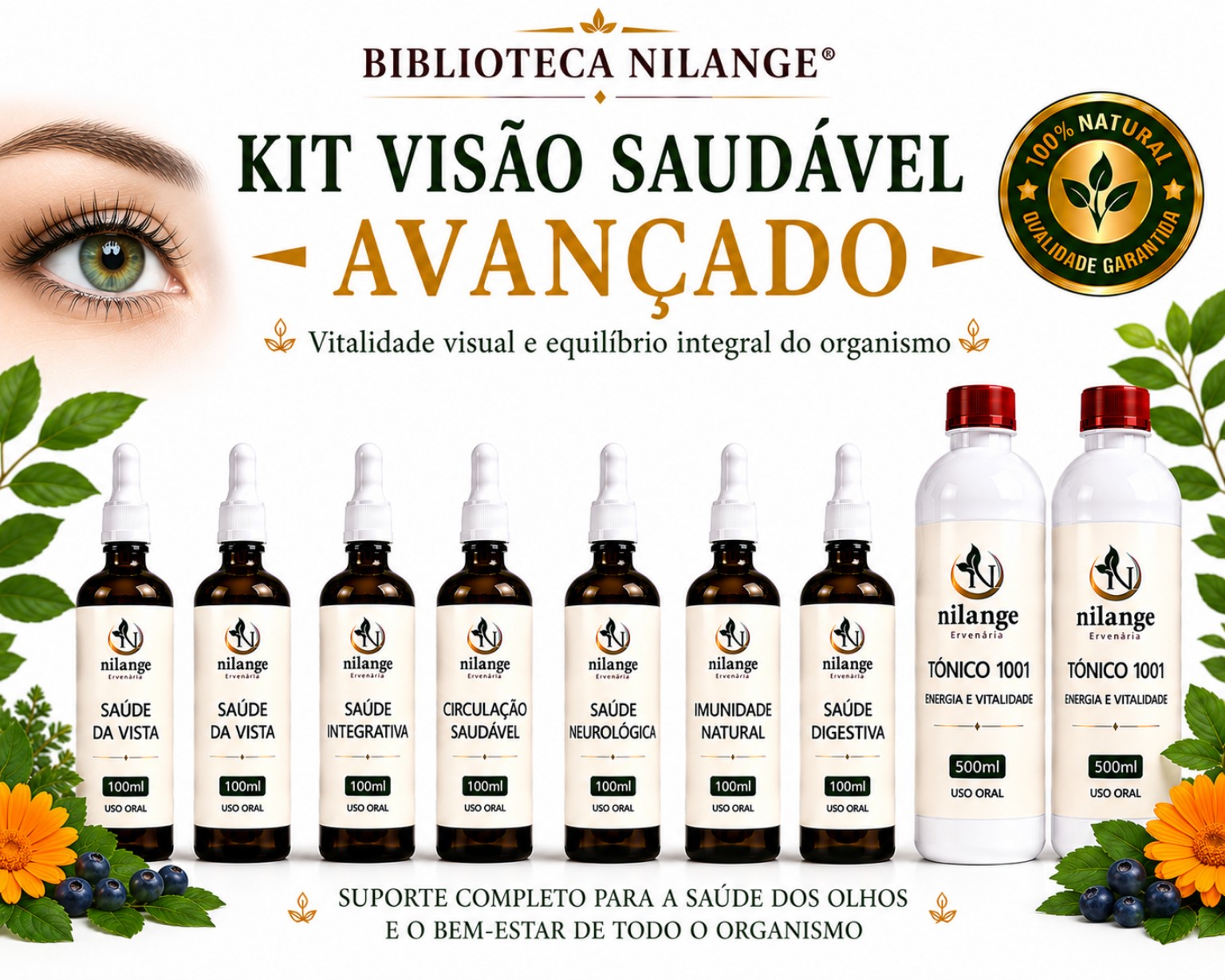 Kit Visão Saudável Avançado